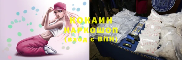 спайс Алексин