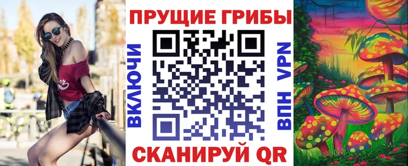 площадка официальный сайт  Сосновка  Псилоцибиновые грибы Magic Shrooms 